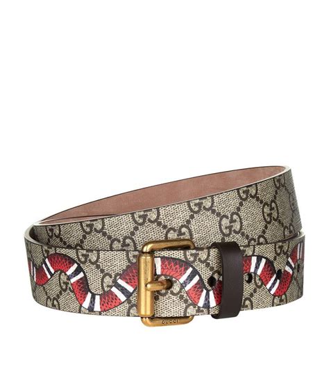 gucci belt guys|gucci snake belt men's.